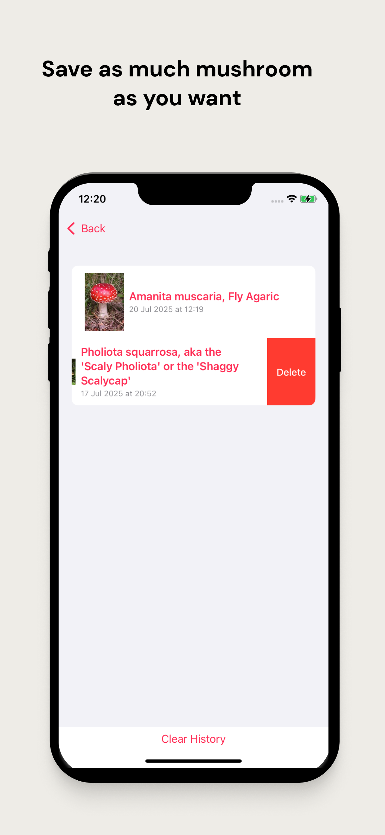 Identify Mushroom App Screenshot 3